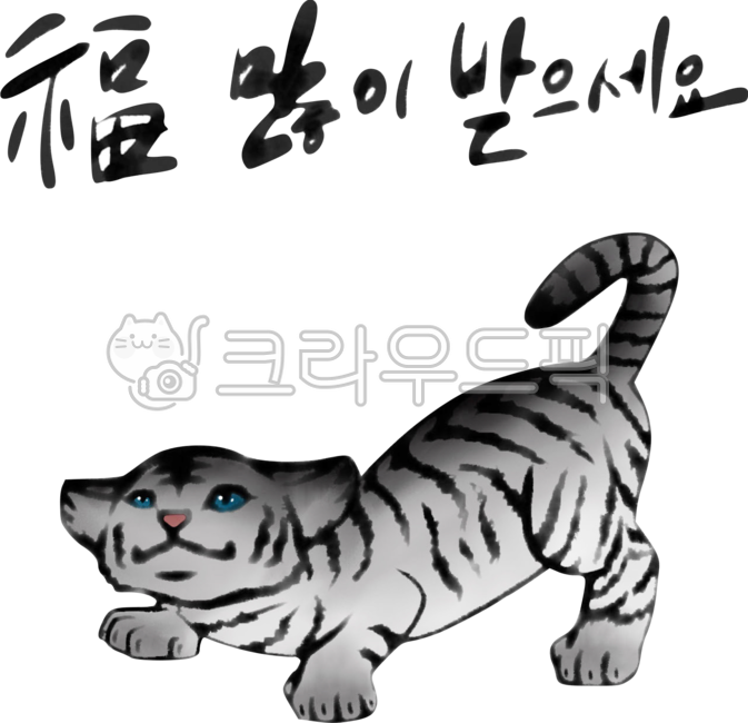 새해,호랑이,아기호랑이,흑호,호랑이그림