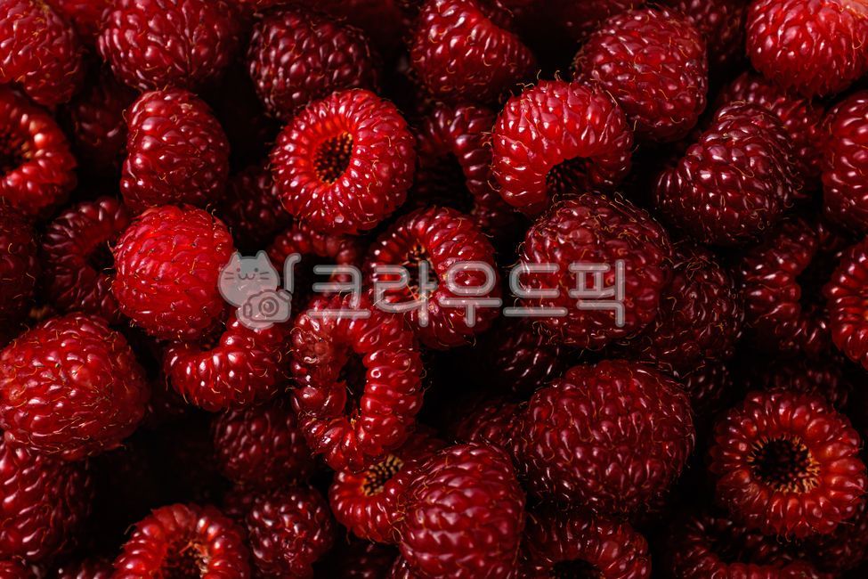 산딸기,라즈베리,베리,베리류,딸기,과일,열매,후식,디저트,음식,식사,식품,식료품,재료,식재료,음식재료,클로즈업,달콤한,새콤한,작은,음식,식재료,요리,food,cook,meal,dishes,food reserves,과일,열매,fruit