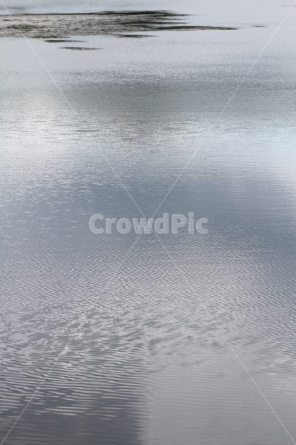 물,저수지,수초,reservoir,water,자연,풍경,nature,landscape,outdoors,옥외
