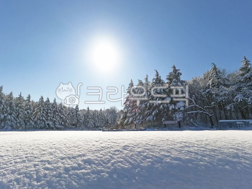 snow mountain,snow scene,winter,snowing,evergreen,lake,snowy day