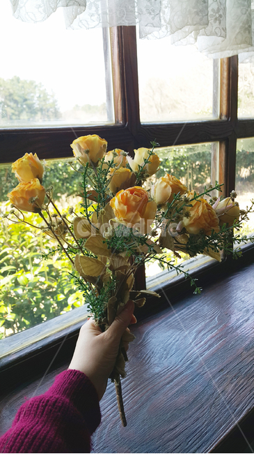 손,꽃다발,창문,창가,꽃,꽃,flower