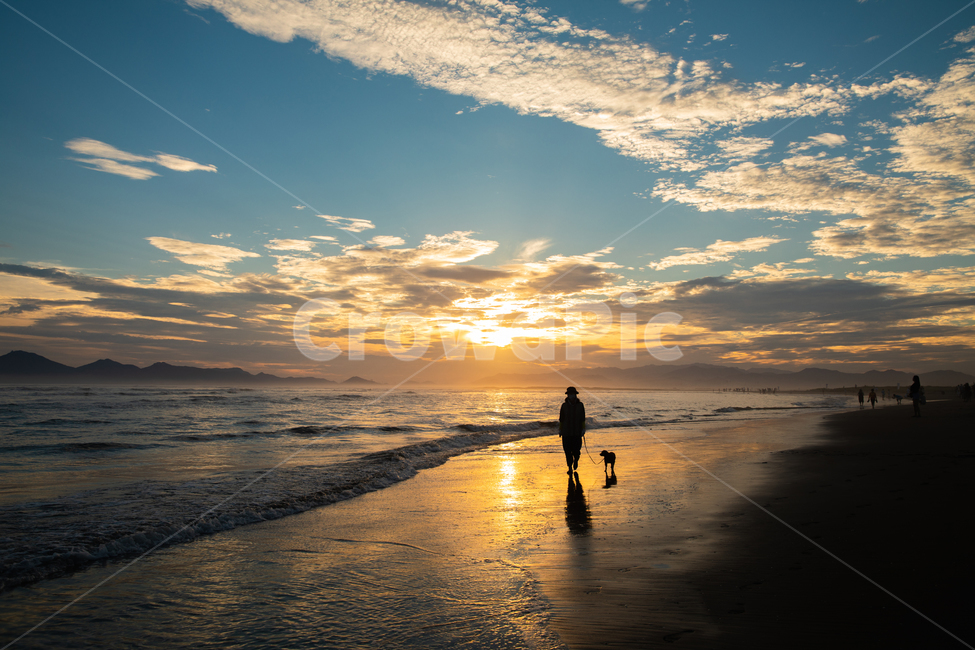 바다,일몰,하늘,구름,풍경,산책,강아지,해변,건강,해변,바다,beach,sea,동물,animal,포유류,mammal,개,강아지,dog,doggy,사람,인물,인간,human,person,인물실루엣,사람실루엣,character silhouette,human silhouette,nature,자연,outdoors,옥외,sunlight,햇빛