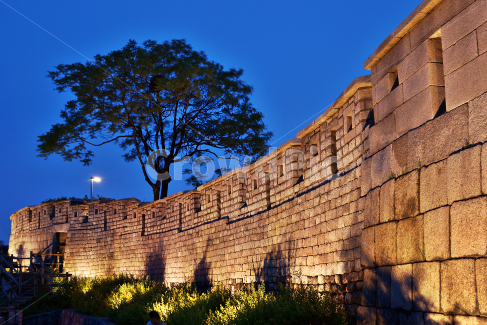 낙산성곽길,종로구,조선도성,도성,한양도성,낙산,서울성곽길,야경,야경,밤,풍경,nightscape,night,landscape