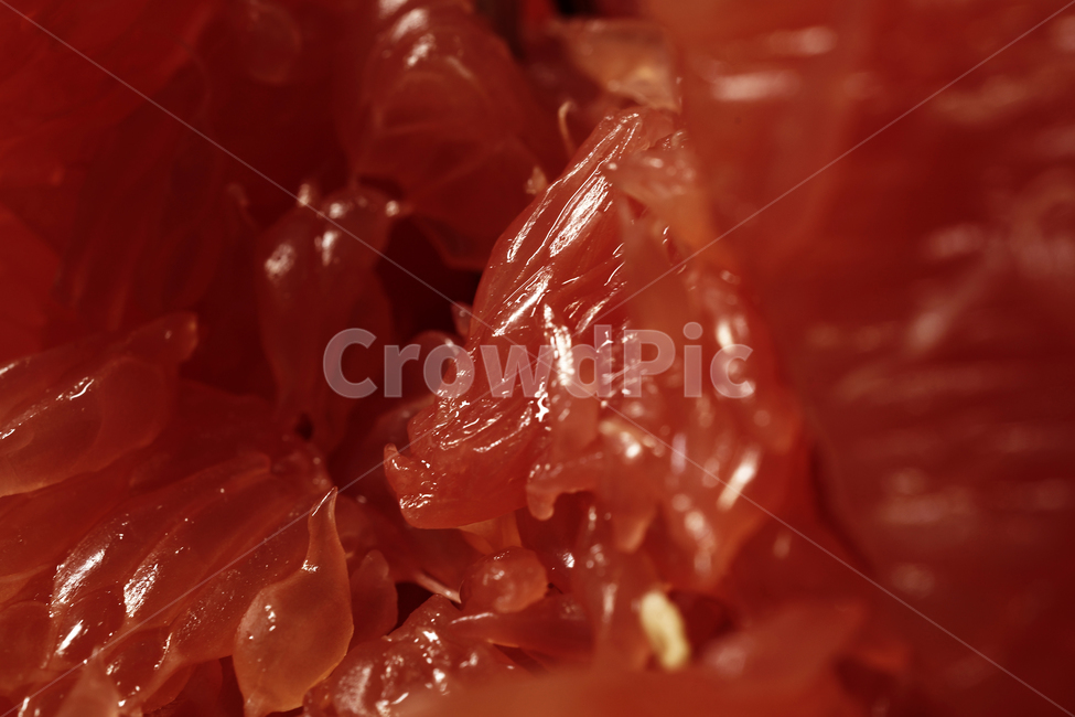 자몽,과일,과즙,알갱이,그레이프프루트,grapefruit,미국,비타민c