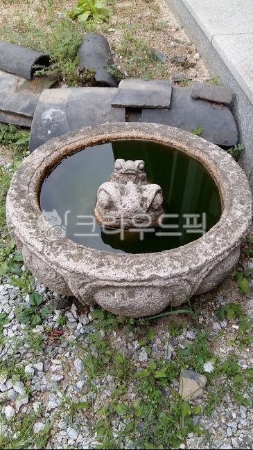 luck,fortune,goodluck,toad,belly toad,Origin of feng shui,stone toad,water