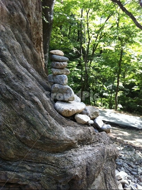 돌탑,돌맹이,소원돌탑,돌,나무,stonetower,stone,tree