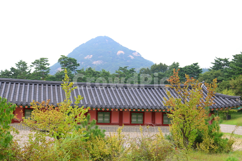 palace,seoul,Gyeongbokgung,old house,tile roof,Gwanghwamun