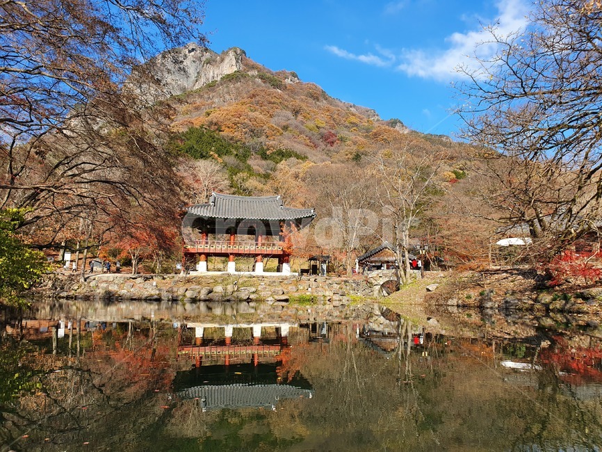 장성,장성백양사,쌍계루,연못,쌍계루풍경,한국자연풍경,한국자연경관,korea nature landscape