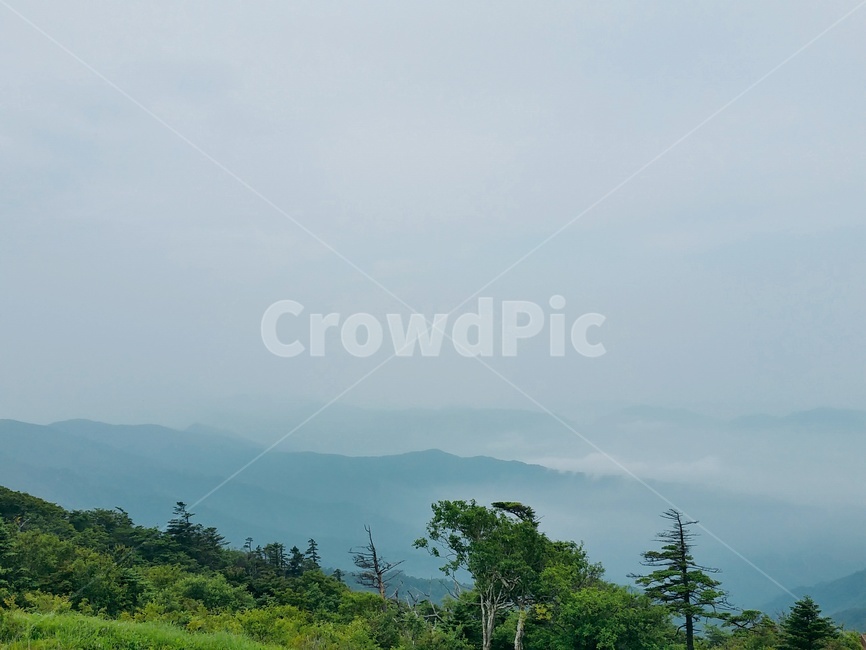 산,나무,안개,산봉우리,산안개,한국,한국자연환경,초록,mountain,푸른산,파란산,korea,자연,자연환경,landscape,구름,신선,blue,파랑,파란색