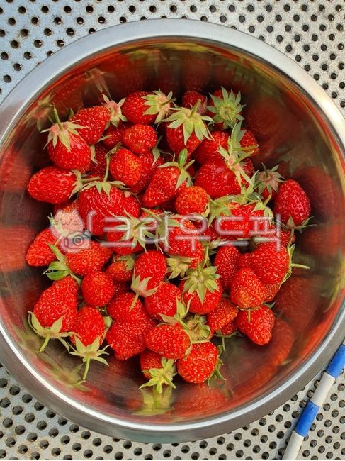 garden crops,summer strawberries,summer fruit,fruit,strawberry,garden strawberries