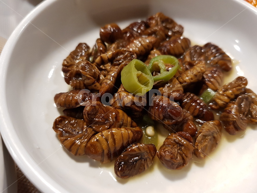 번데기,간식,길거리음식,음식,식재료,요리,cook,meal,dishes,food,dessert,koreandessert,디저트,후식,반찬