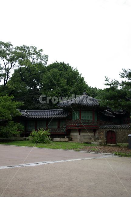 창덕궁,고궁,전각,한옥,전통가옥,기와지붕,건축,traditional,한국전통,한국문화,korean traditional,korean culture,랜드마크,landmark,tourist attraction,한국랜드마크,한국관광지,한국명소,korea landmark,korea tourist attraction,건축물,건물외관,exterior,building,structure,architecture,construction