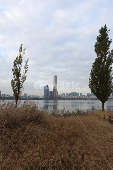 63빌딩,건물,도시,한강,공원,한국도시풍경,한국도시경관,korea cityscape