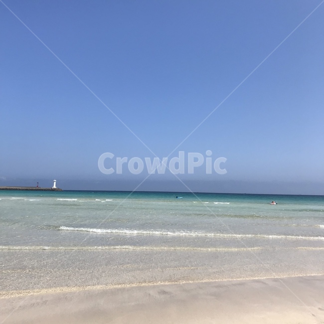 제주,제주도,바다,자연,풍경