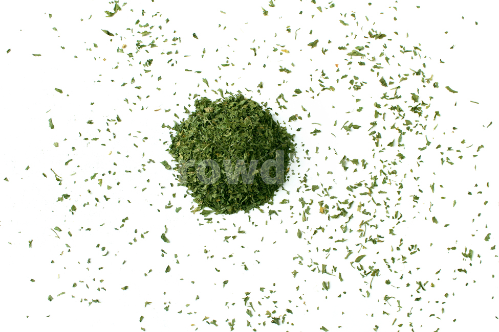 parsley,dryparsley,powder,파슬리,파슬리가루,파슬리잎,가루,요리재료,식재료,이탈리안,말린,마른,말린잎,closeup,cooking,driedparsley,dry,food,italian,leaf,parsleyleaf,plant,topview,양념,더미,dummy,group,덩어리,모여있는,탑앵글,음식,식재료,요리,food,cook,meal,dishes,food reserves,연출,컨셉,콘셉,direction,concept
