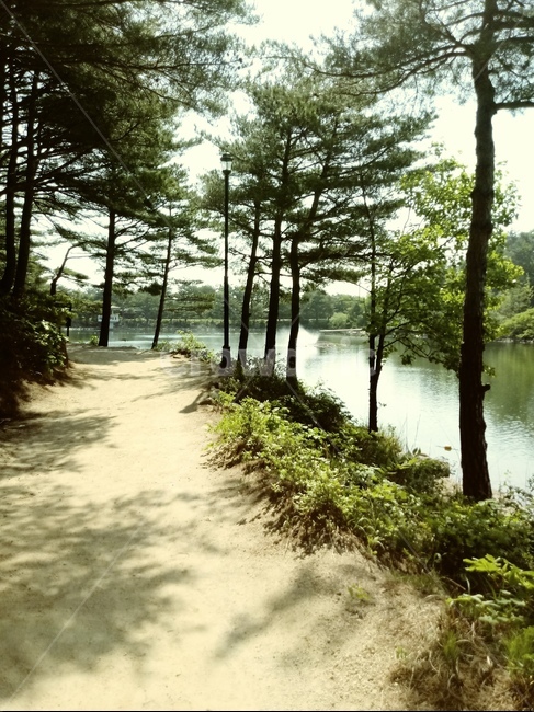 호수,공원,산,호수공원,오솔길