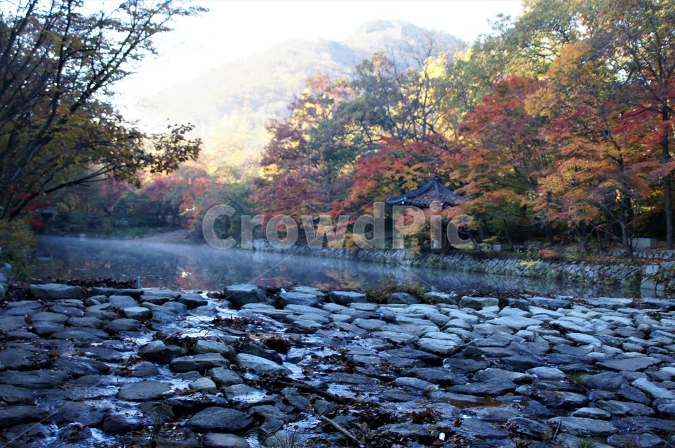 가을,단풍,자연,나무,식물,저수지,그림자,정자,산속,autumn,season,trees,nature,풍경,자연풍경,감성,emotion,안개,가을,계절,fall,autumn,season,rubble,파편,water,물