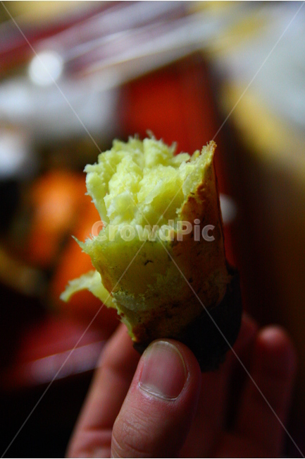 겨울,고구마,군고구마,음식,겨울음식,겨울,계절,winter,season,음식,식재료,요리,food,cook,meal,dishes,food reserves