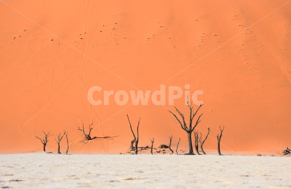 soil,흙,outdoors,옥외,nature,자연,sand,모래,desert,사막,dune,모래언덕,oversea,landscape,worldnaturelandscape