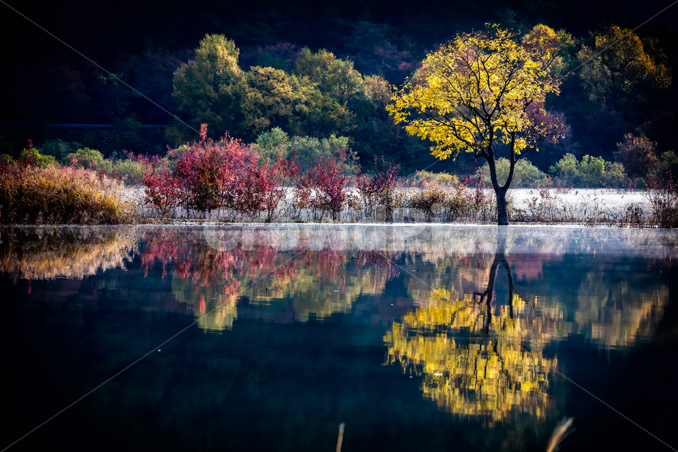 가을풍경,가을,반영,자연,nature,용담호,tree,plant,가을,계절,fall,autumn,season,자연,풍경,nature,landscape,한국자연풍경,한국자연경관,korea nature landscape