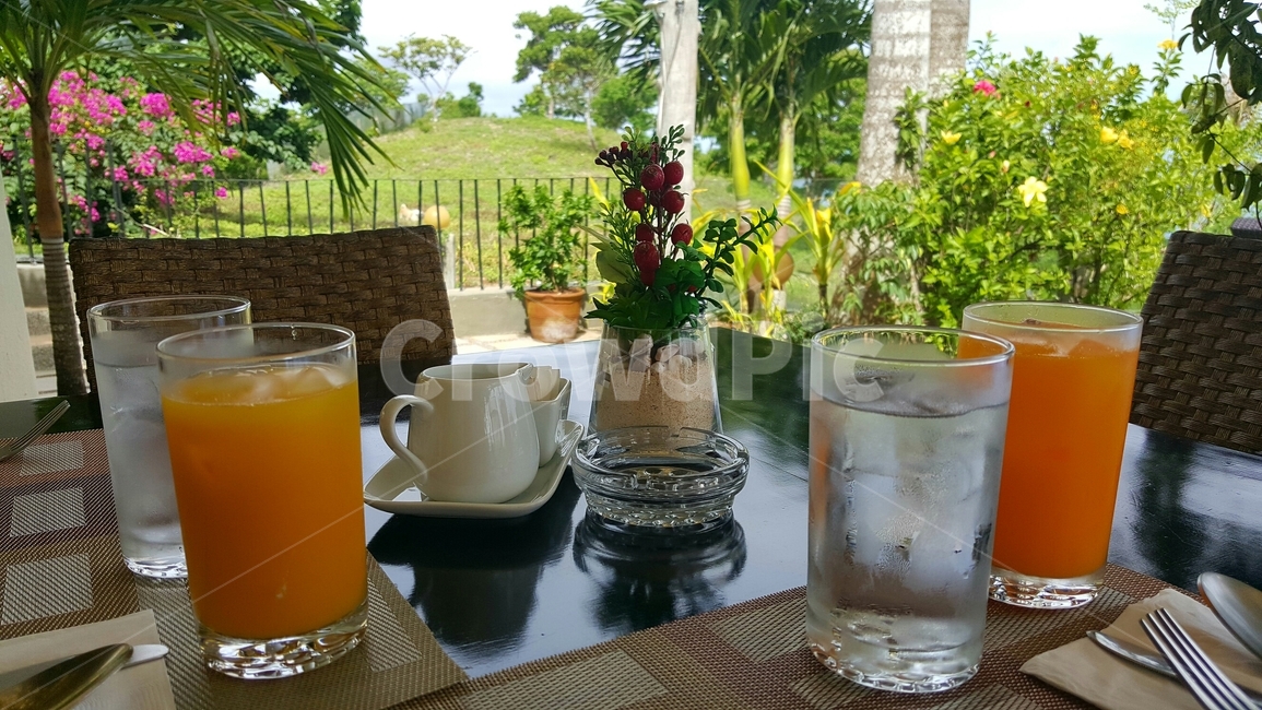 휴양,조식,beverage,drink,음주,마실것