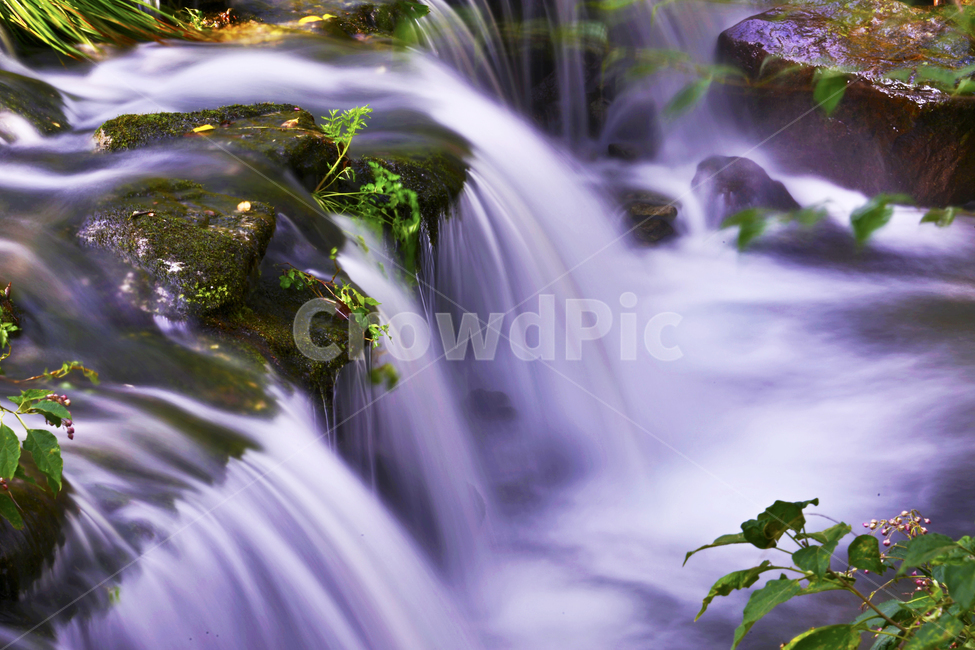 장성,백양사,계곡,소폭포,nature,자연,water,물,outdoors,옥외,waterfall,폭포,자연,풍경,nature,landscape