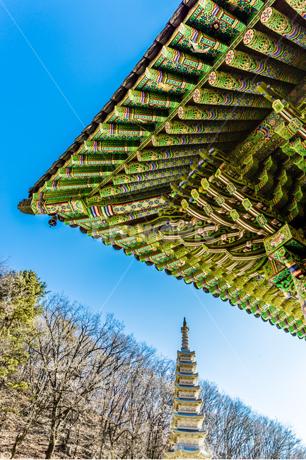 단청,처마,문양,무늬,탑,전통,한국전통,한국문화,korean traditional,korean culture,종교,신앙,religion,belief,faith,건축물,건물외관,exterior,building,structure,architecture,construction