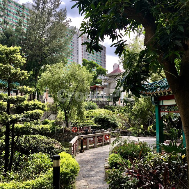 공원,홍콩,전통,푸른나무,park,construction,pond,structure,청색,자연,조화,exterior,녹색,햇빛