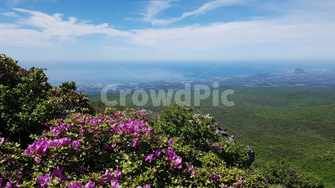 제주도,한라산,영실코스,진달래능선,용머리해안