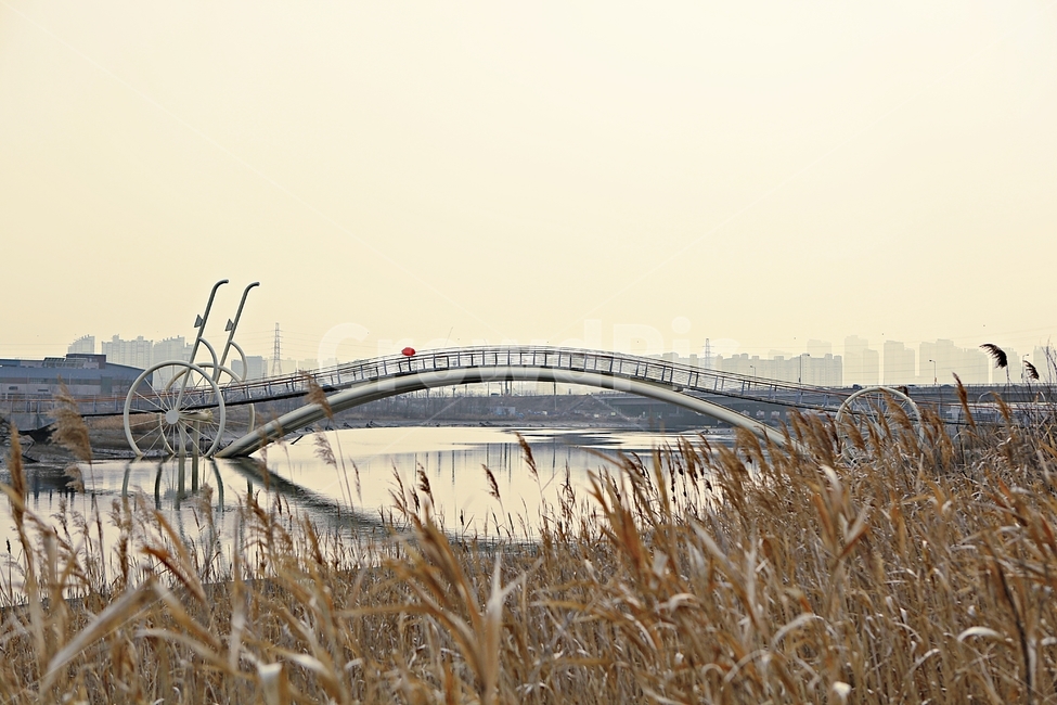 미생의다리,다리,생태공원,자연,풍경,배경,건축물,건물외관,exterior,building,structure,architecture,construction