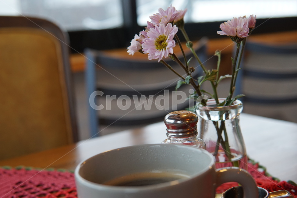 카페,커피,카페감성,카페여유,여유,아메리카노,실내용화초,화분,화초,house plant