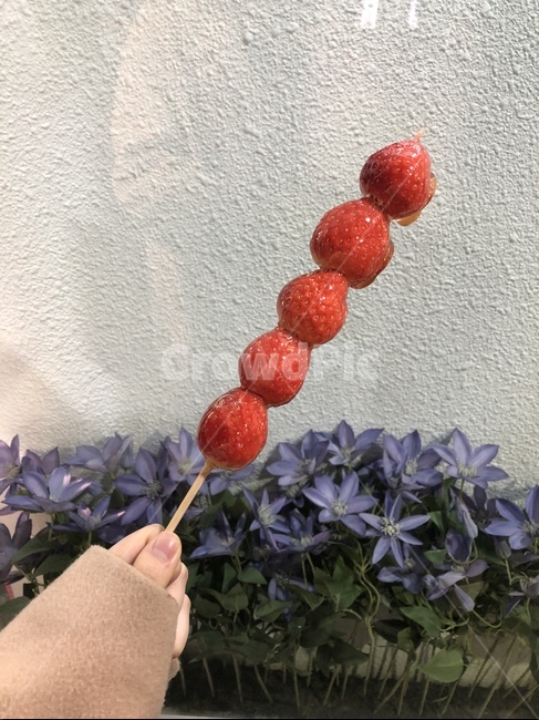 탕후루,딸기,딸기탕후루,간식,과일