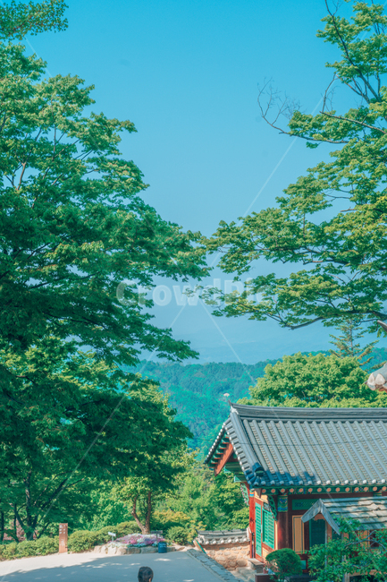 절,풍경,산맥,하늘,사원,나무,맑음,산,자연,풍경,nature,landscape,한국자연풍경,한국자연경관,korea nature landscape,한국전통,한국문화,korean traditional,korean culture,outdoors,옥외,rural,농촌,shelter,피난처,building,건물