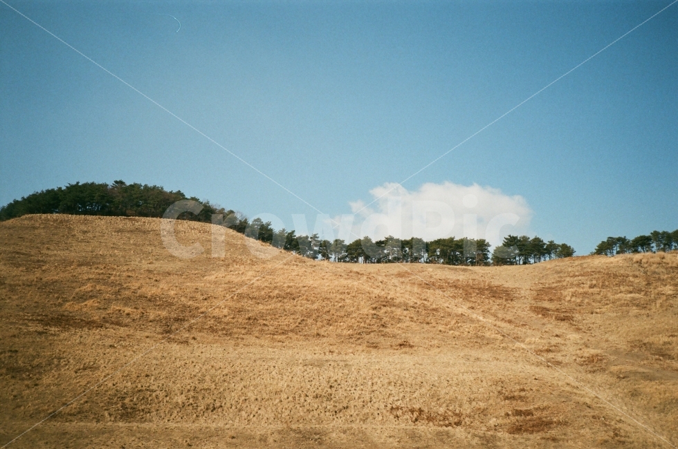 하늘,구름,언덕,목장,서산,봄날,필름사진,감성사진,자연,풍경,nature,landscape,field,들,grassland,목초지,outdoors,옥외,mound,투수판