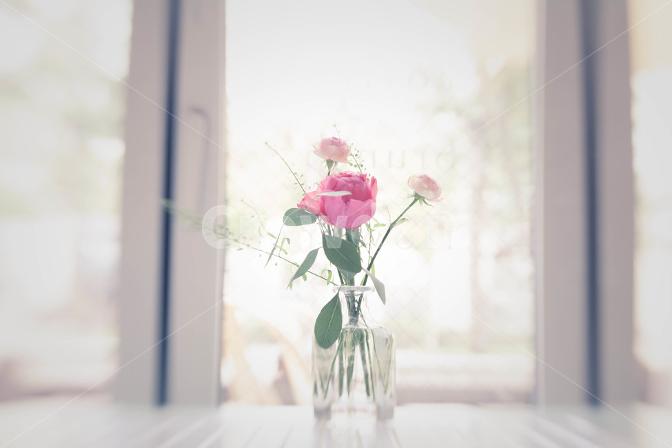 조화,장미,소품,장식,인테리어,감성,flower,실내용화초,화분,화초,house plant