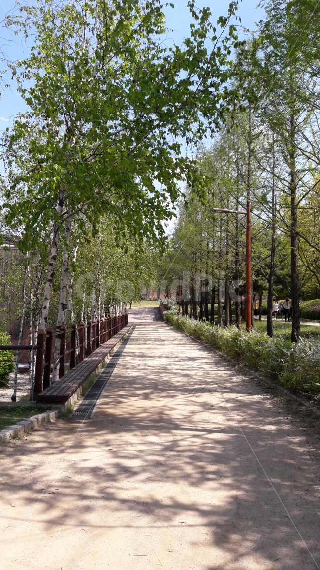 길,나무,가로등,하늘,시원함,자연,풍경,nature,landscape,arbour,정자,garden,정원,outdoors,옥외