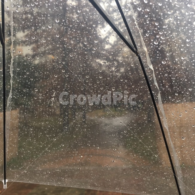 우산,빗방울,rain,umbrella,우산속풍경,길거리,raindrops,raindrop,산책로,비,비오는날,rain,rainy