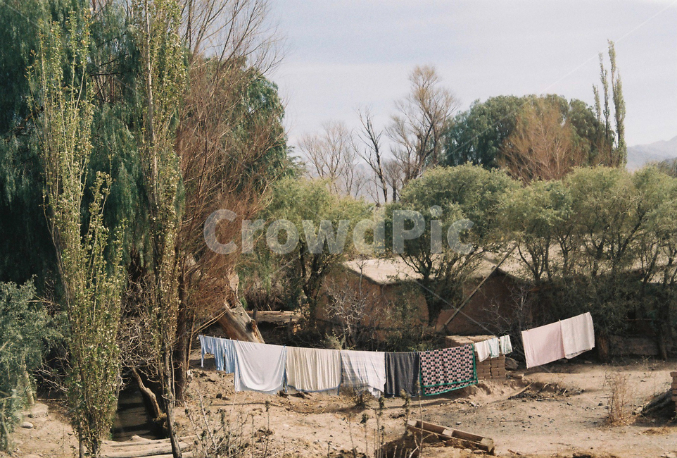 빨래,농촌,laundry,village,마을,자연,nature,나무,tree,시골