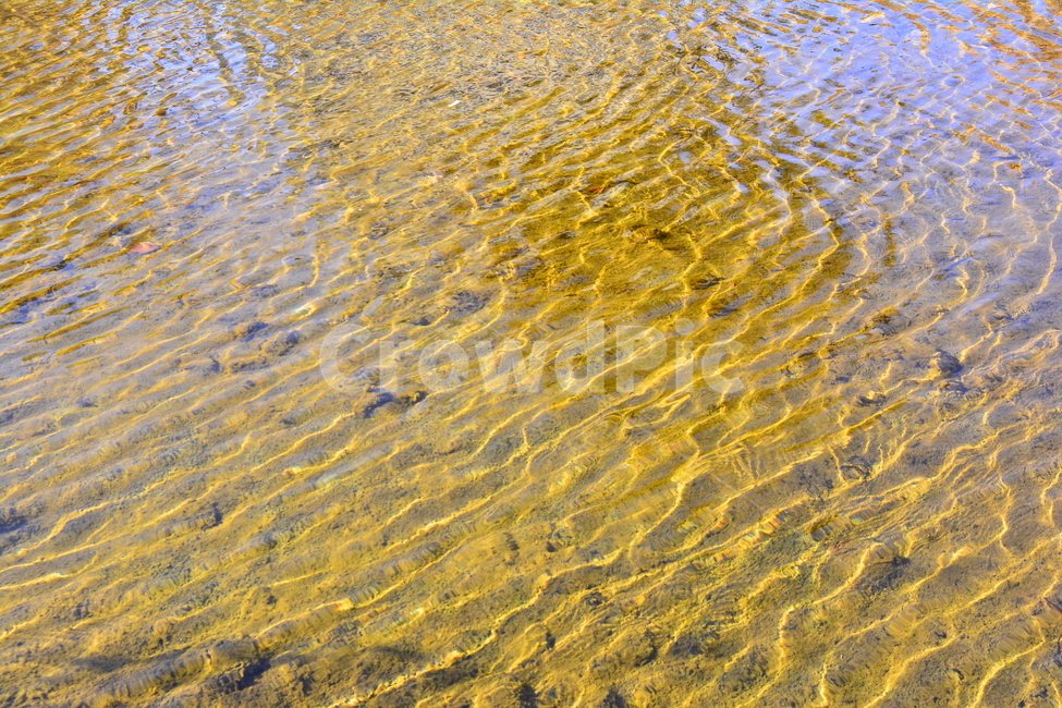 물,물결,파문,water,outdoors,옥외,ripple,리플,웨이브,wave,투명한,바닥,맑은물