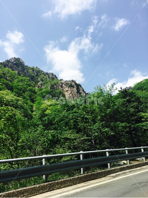 산,드라이브,숲길,힐링,초록,자연,풍경,nature,landscape