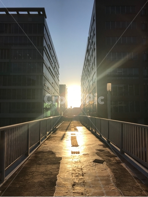 건물,햇빛,육교,감성,노을,도시,풍경,city,landscape,flare,플레어,light,빛,handrail,난간,banister,railing,path,통로