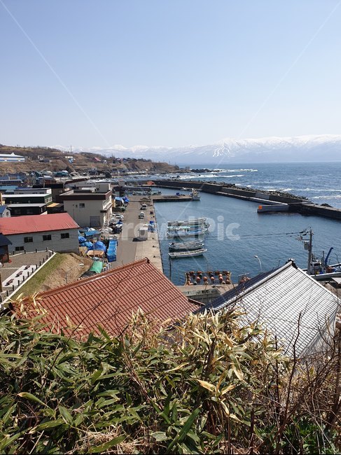 항구,바다,일본,홋카이도,산,배,마을