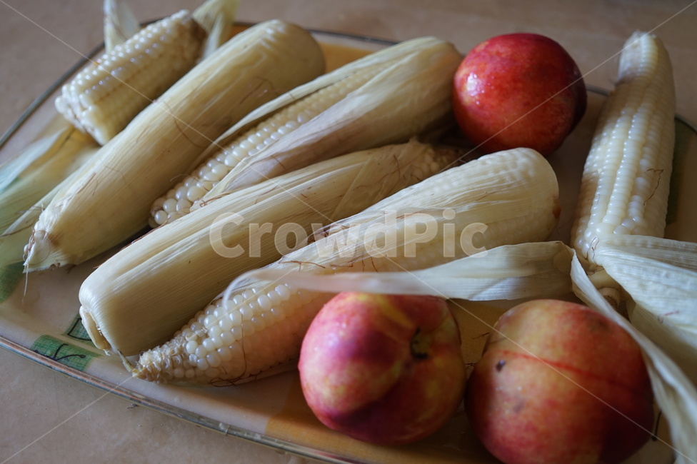 옥수수,천도복숭아,여름,음식,과일,쟁반,트레이,시골,과일,열매,fruit,채소,야채,vegetables