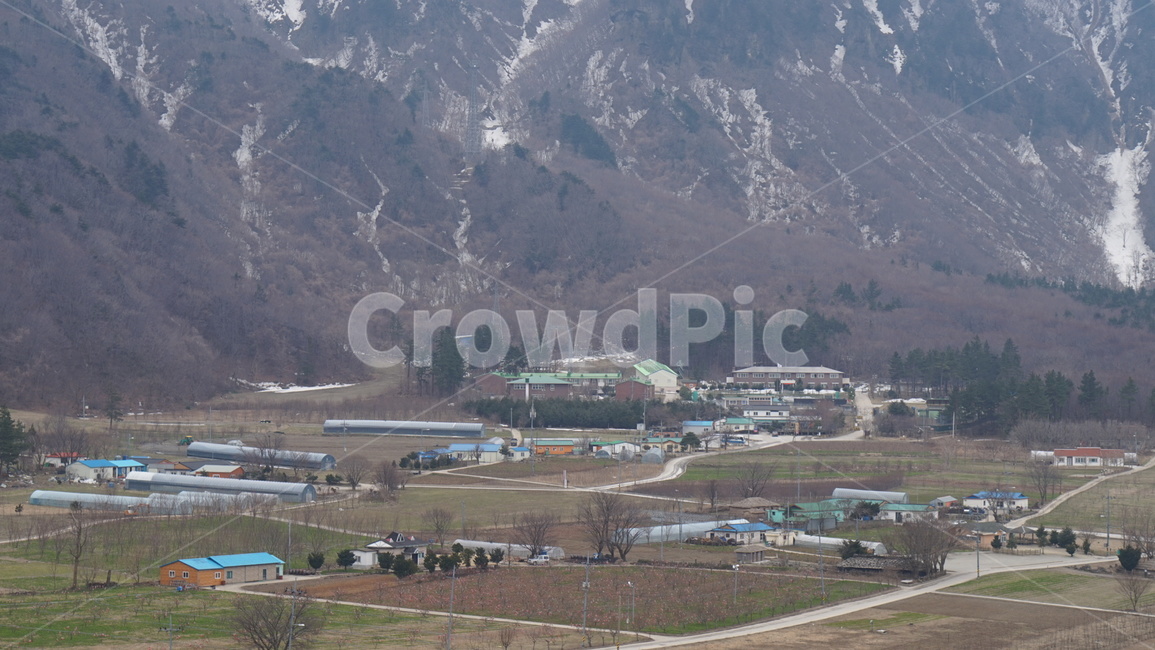 나리분지,겨울,울릉도,scenery,풍경,nature,자연,outdoors,옥외,landscape,경치,감성,논,밭,산,가옥,집