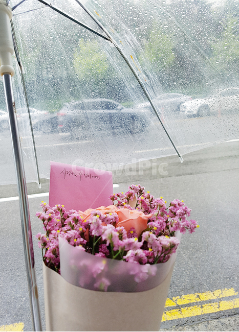 꽃,꽃다발,선물,편지,우산,비,기다림,고백,사랑,마음,plant,식물,flower,blossom,기념일,축하,anniversary,congratulation,celebrate,celebration