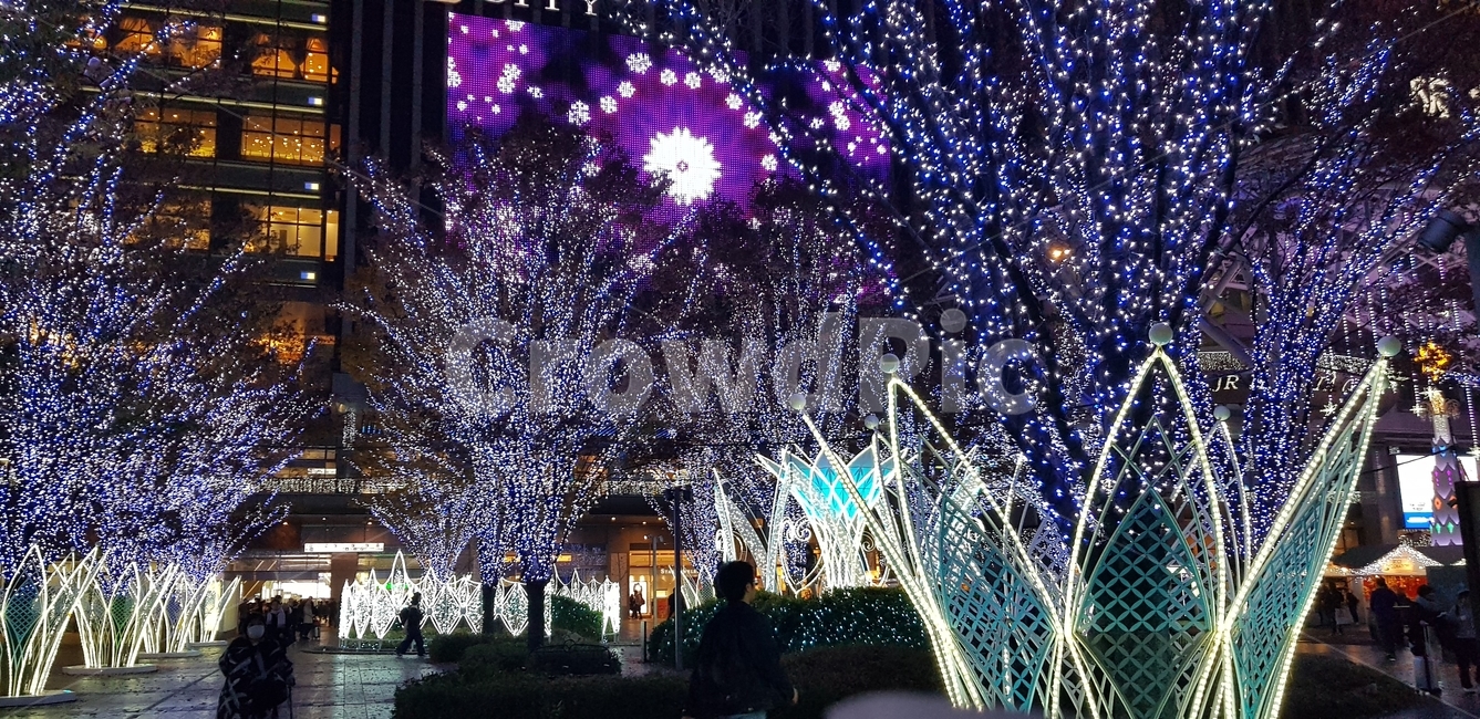 겨울,트리,크리스마스,장식,나무,메리크리스마스,성탄절,merry christmas