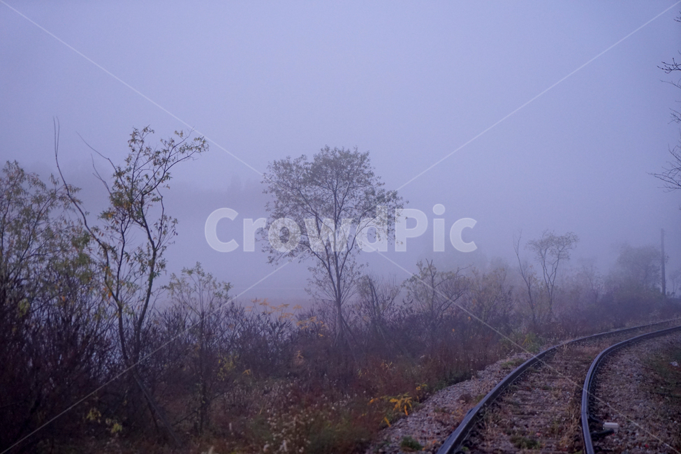 철길,철로,기찻길,안개,나무,가을,새벽,자연,풍경,nature,landscape,transportation,교통,train track,railway,철도,rail,레일