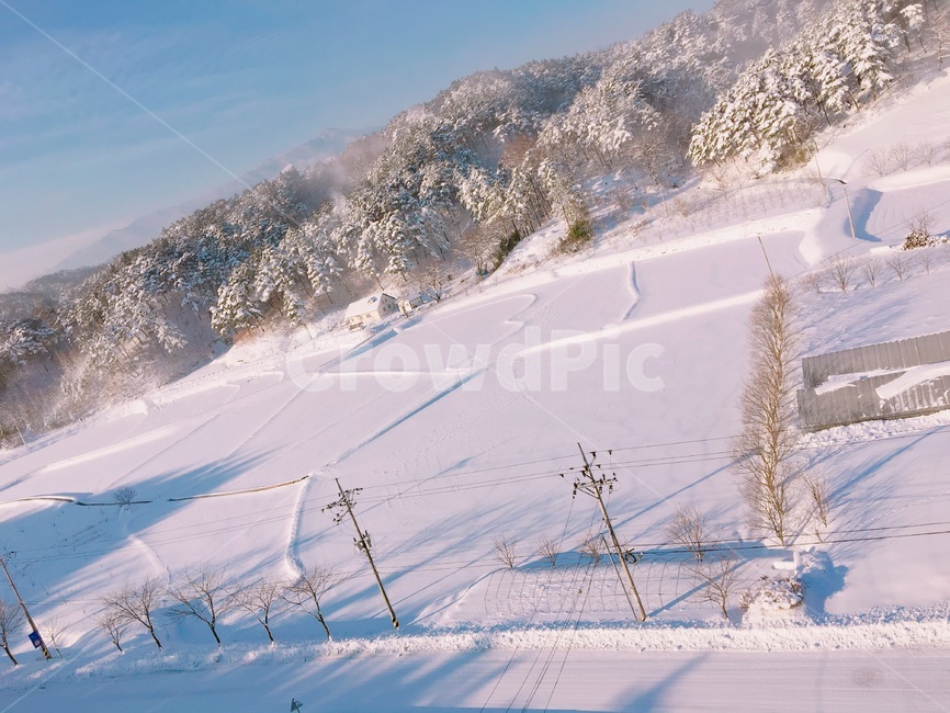 자연,눈,폭설,풍경,강원도,겨울,계절,winter,season,자연,풍경,nature,landscape,outdoors,옥외,mountain,산,snow,sport,스포츠,piste,피스트,sports