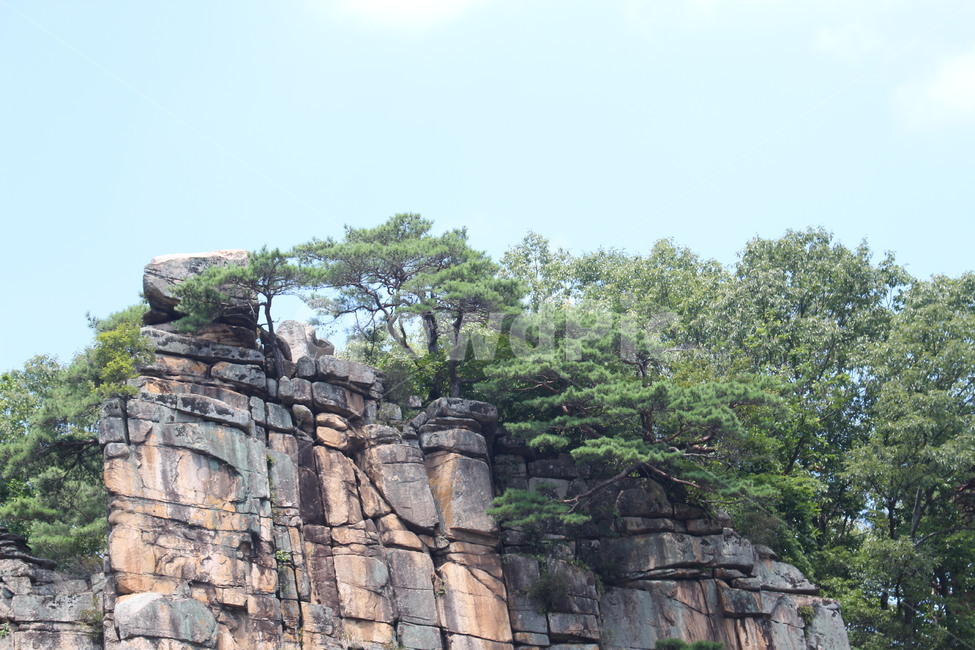 단양팔경,사인암,절벽,나무,풍경,자연환경,돌,명승,단양,자연,풍경,nature,landscape,한국자연풍경,한국자연경관,korea nature landscape