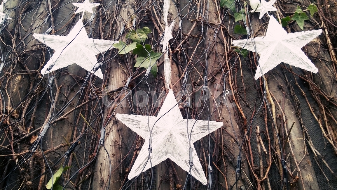 별,하얀별,담쟁이덩굴,아이비,조명,감성,stars,whitestar,ivy,lighting,emotional,사물,물건,오브젝트,thing,object,matter